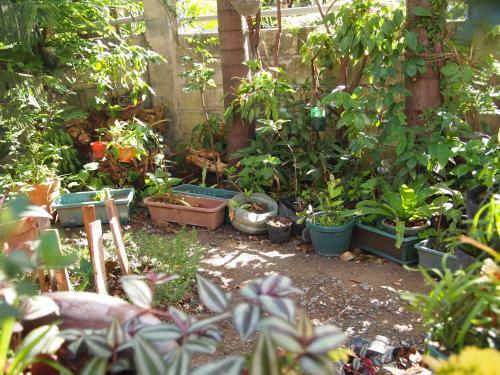 Paranaque Homestay