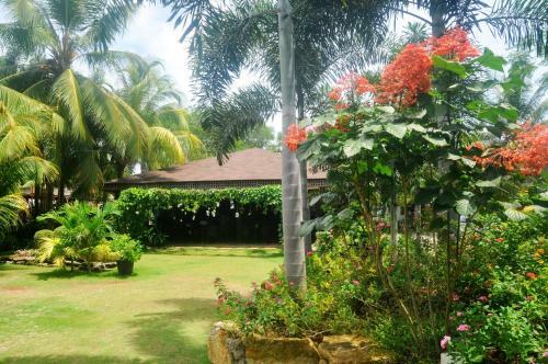 Hotel Golden Palm Resort