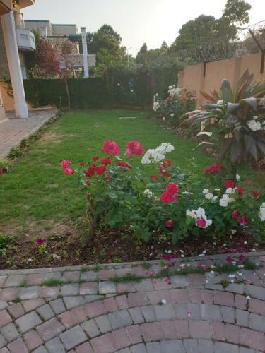 Hostal Royal Villa F-10/2