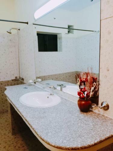 Hostal Blue Moon Residency