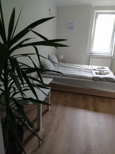 Bed & Breakfast Pensjonat T??niowa 6