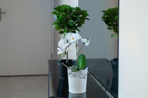 City Break Gda?sk Rajska 8 Apartamenty
