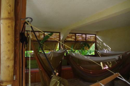 Albergue Natur'hamac