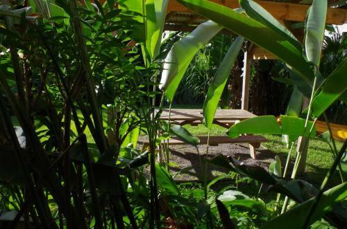 Albergue Natur'hamac