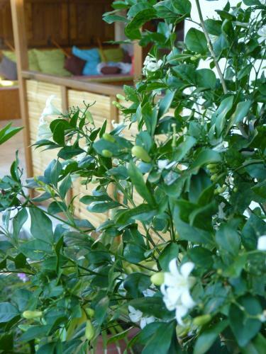 Albergue Natur'hamac
