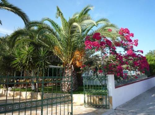Apartamento Erietta Studios