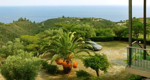 Apartamento Aris Pension