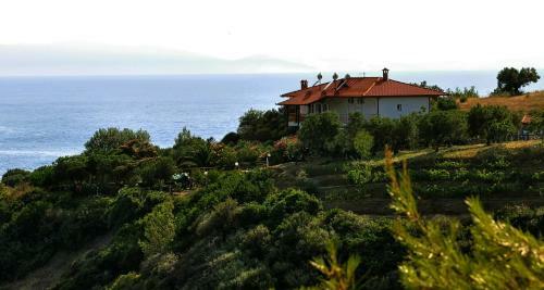 Apartamento Aris Pension