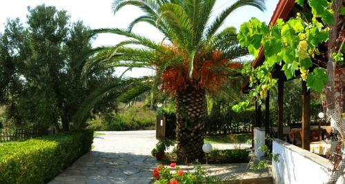 Apartamento Aris Pension