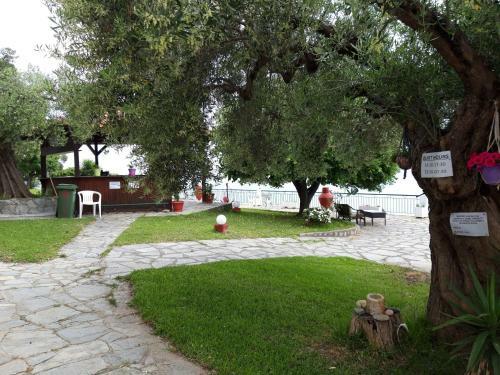 Alexiadis Apartments