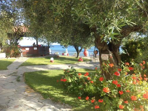 Alexiadis Apartments