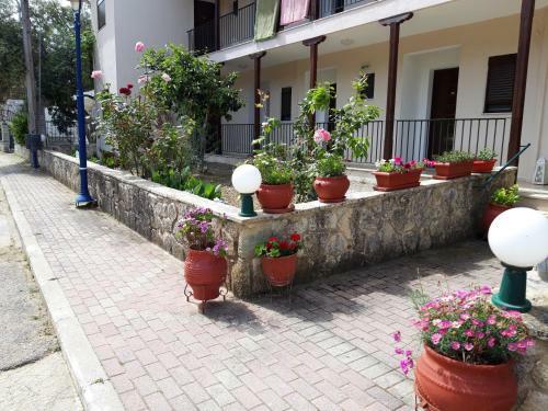 Alexiadis Apartments