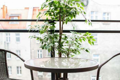 Apartments Nowa Grobla By Renters