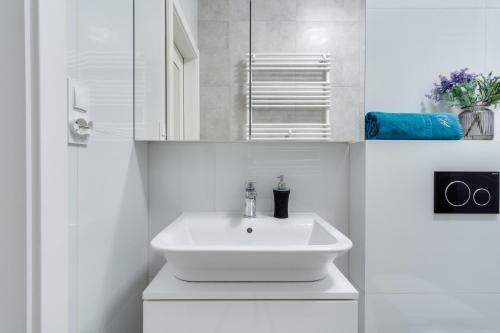 Elite Apartments Downtown Premium