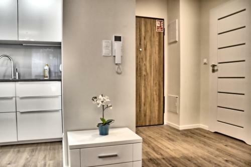 Old Town Luxury Apartment