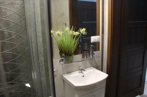 Apartamenty Jagiello?ska 23