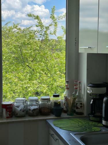 Szumi Las Bed & Breakfast