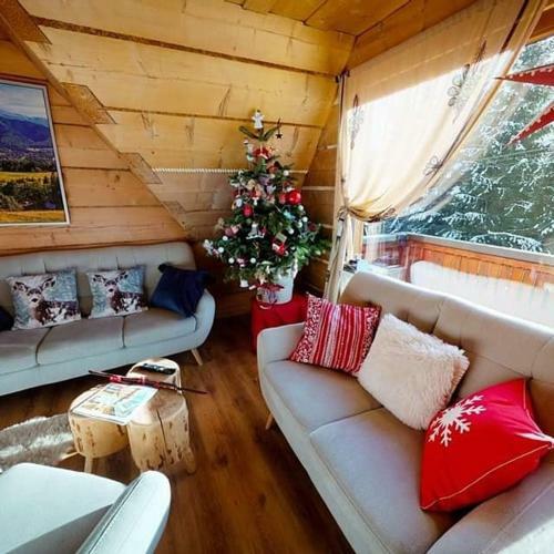 Apartamenty Kierpc�wka