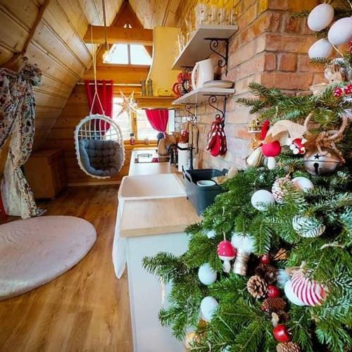 Apartamenty Kierpc�wka