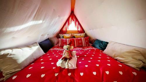 Apartamenty Kierpc�wka