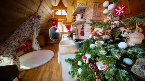 Apartamenty Kierpc�wka