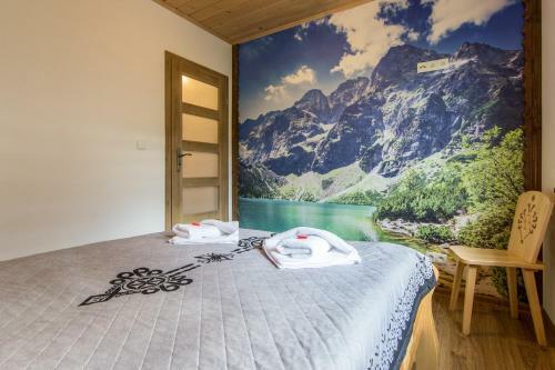 Domki Czajki Zakopane