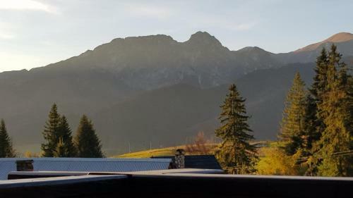 Domki Czajki Zakopane