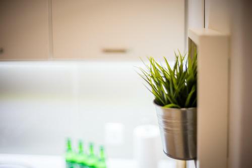 Apartament Wietora Wawelofts