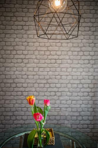 Apartamenty Bosacka Wawelofts