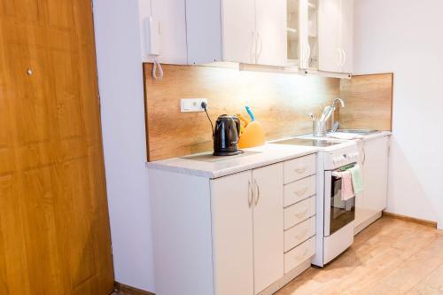 Wielopole Apartment 10