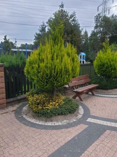 Albergue Zielony Zak?tek