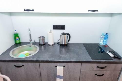 Cracow Apartaments III