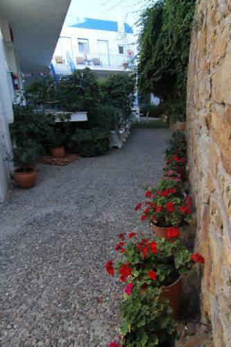 Apartamento Sun Rooms