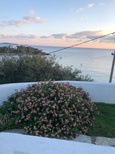 Aparthotel Residence Gerani