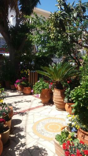 Apartamento Eleni Studios