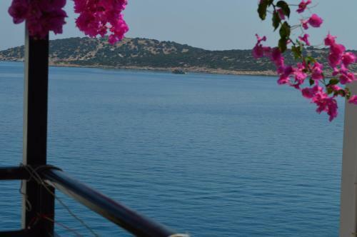 Angeliki's Apartments