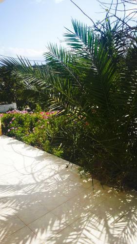 Apartamento Marathi Panorama Rooms