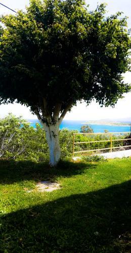 Apartamento Marathi Panorama Rooms