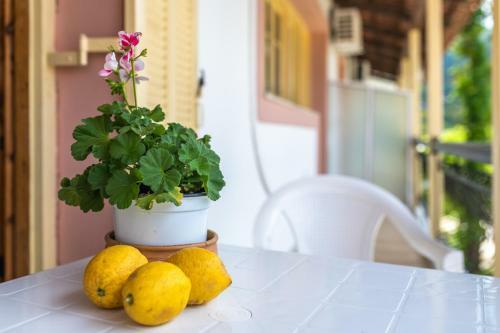 Apartamento Anthi Studios