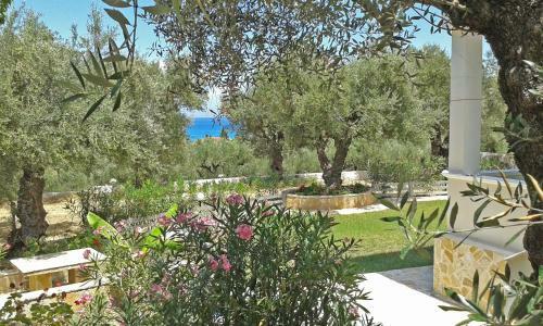 Pouliezos Koklanis Zante Apartments