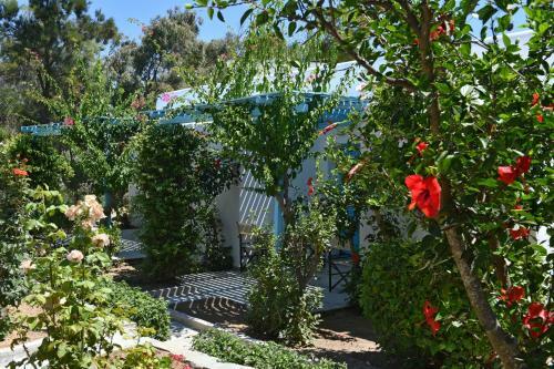 Hotel Surfing Beach Village Paros