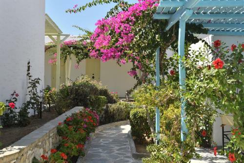 Hotel Surfing Beach Village Paros