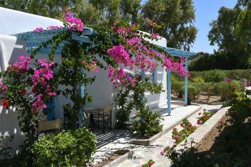 Hotel Surfing Beach Village Paros