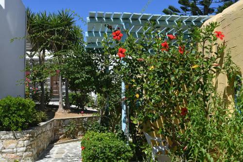 Hotel Surfing Beach Village Paros