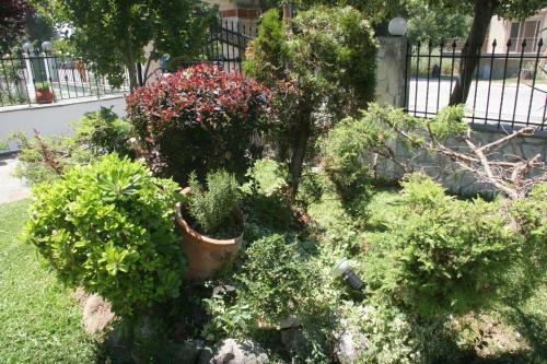 Apartamento Neilis