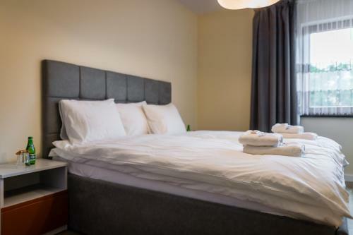 Apartament Rakowicka 14 Deluxe Old Town Wawelofts