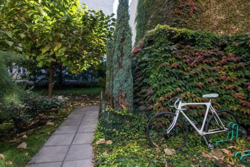 Cracow Best Location Apartment