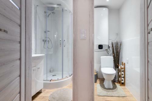 Cracow Best Location Apartment