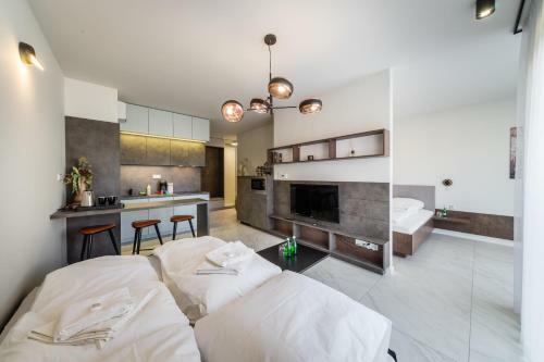 Black Pearl Apartment Old Town Rakowicka Deluxe Wawelofts