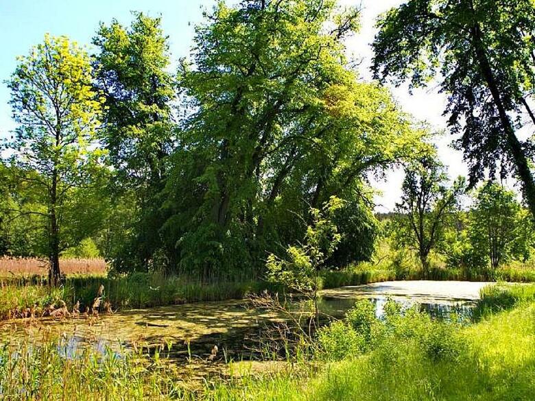Agroturismo Pa?ac Kursko
